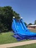 20ft Dolphins water slide